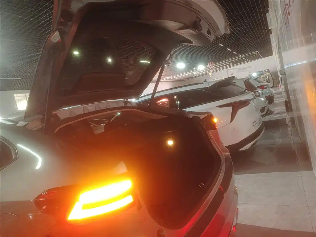 Haval F7x 2021 2.0T AWD Ultimate Performance Edition фото 19