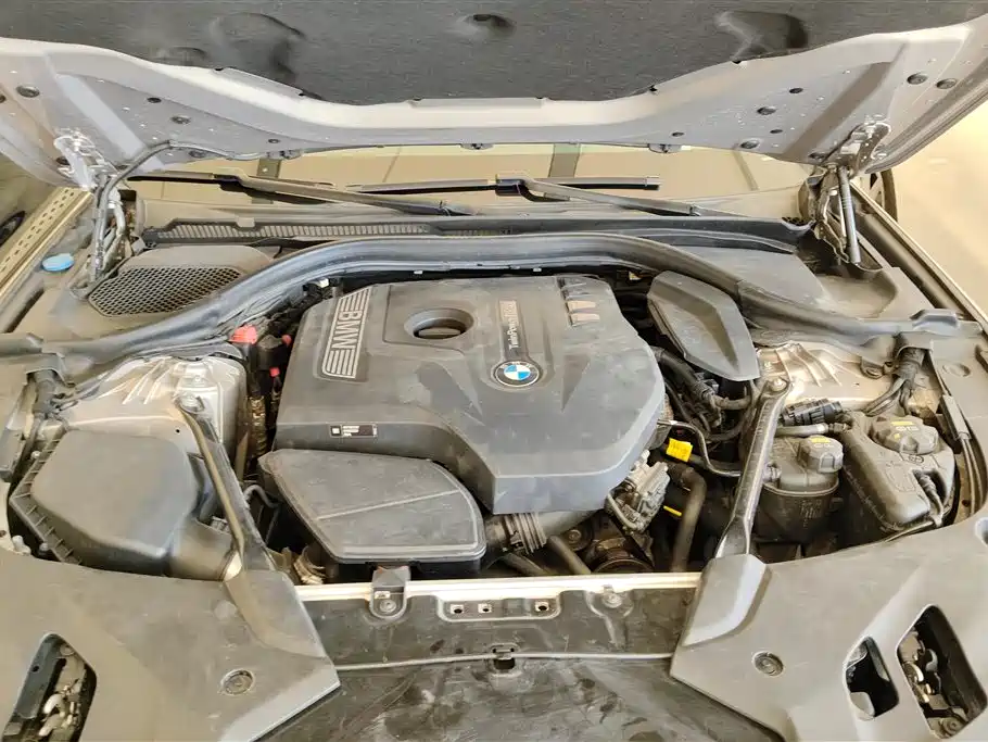BMW 5 Series 2018 528Li Launch Special Edition фото 10