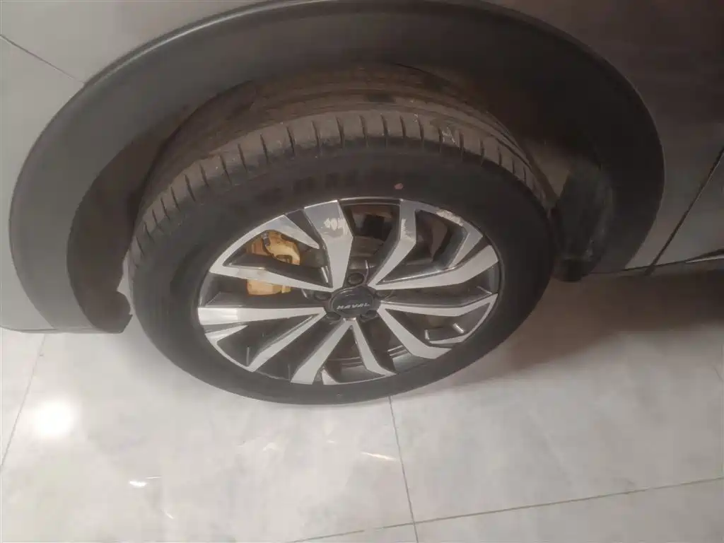 Haval F7x 2021 2.0T AWD Ultimate Performance Edition фото 23