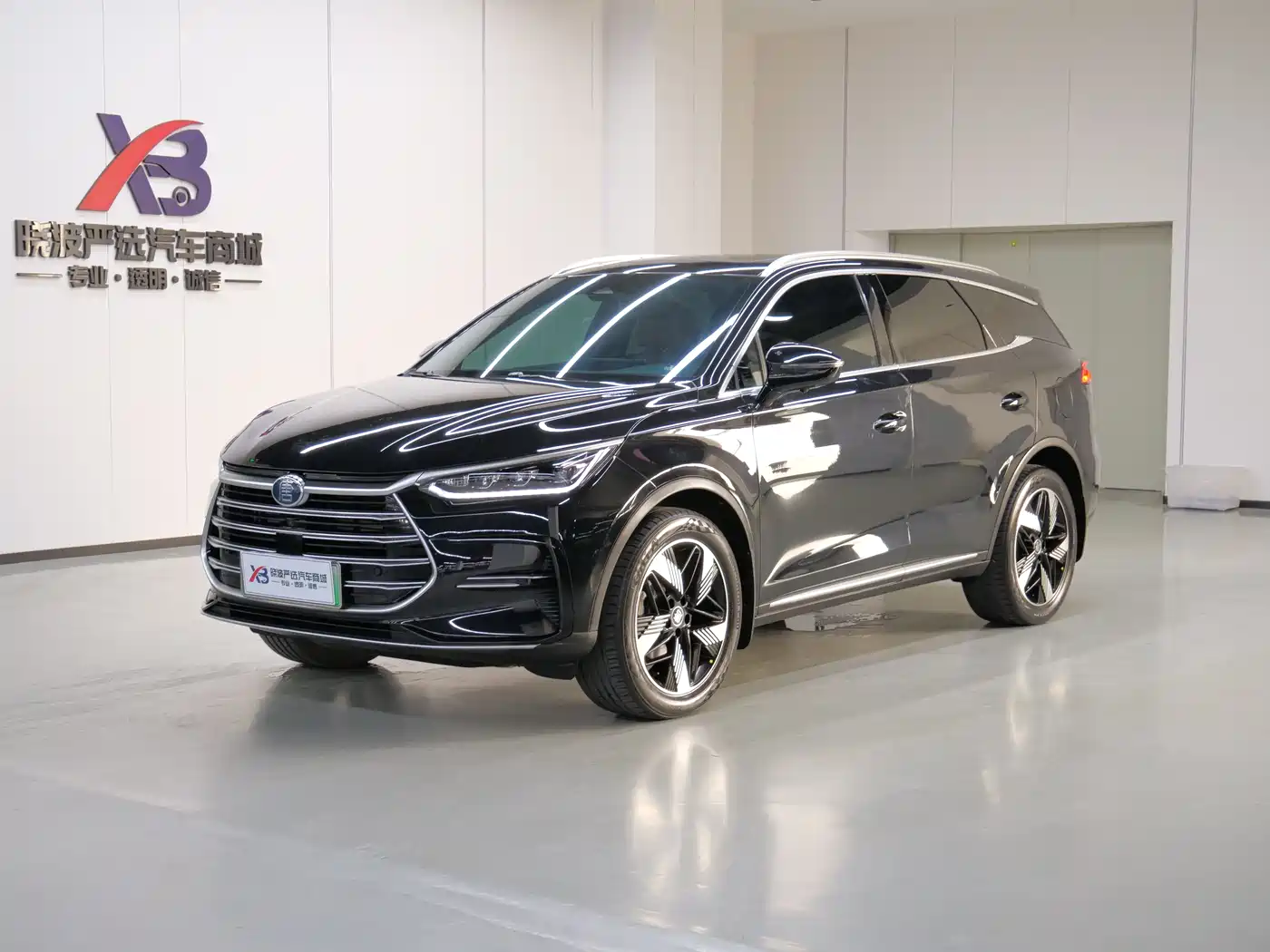 BYD TANGXIN ENERGY 2023