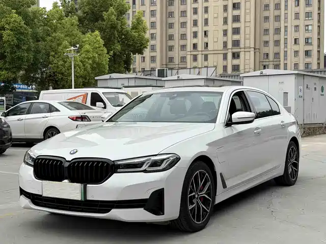  BMW BMW 5 Series New Energy 2021 535Le Luxury Package