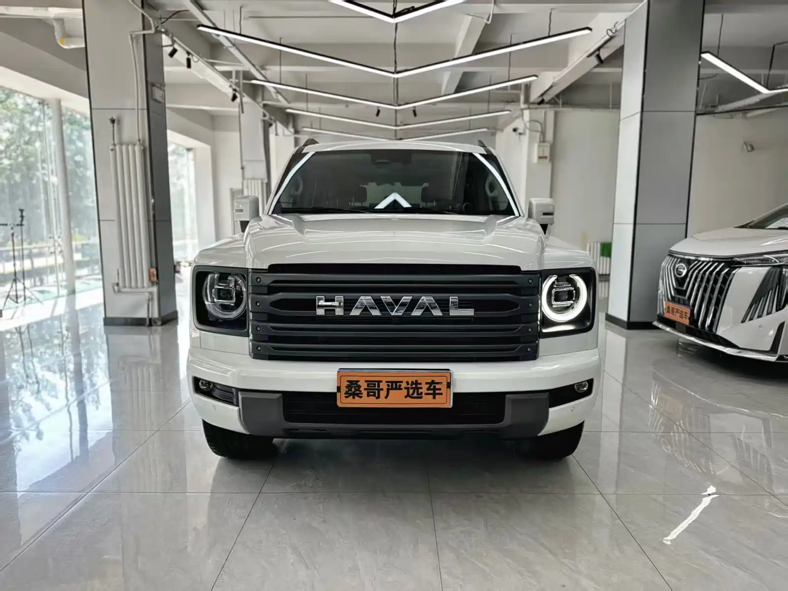 Фото 2 - Haval H9