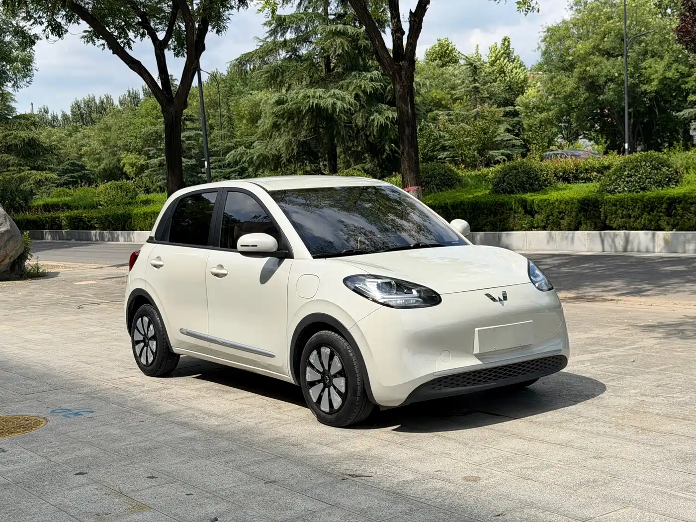 Wuling Motors Wuling Bingo 2023 2023 Model 203km Lite Enjoyment Edition