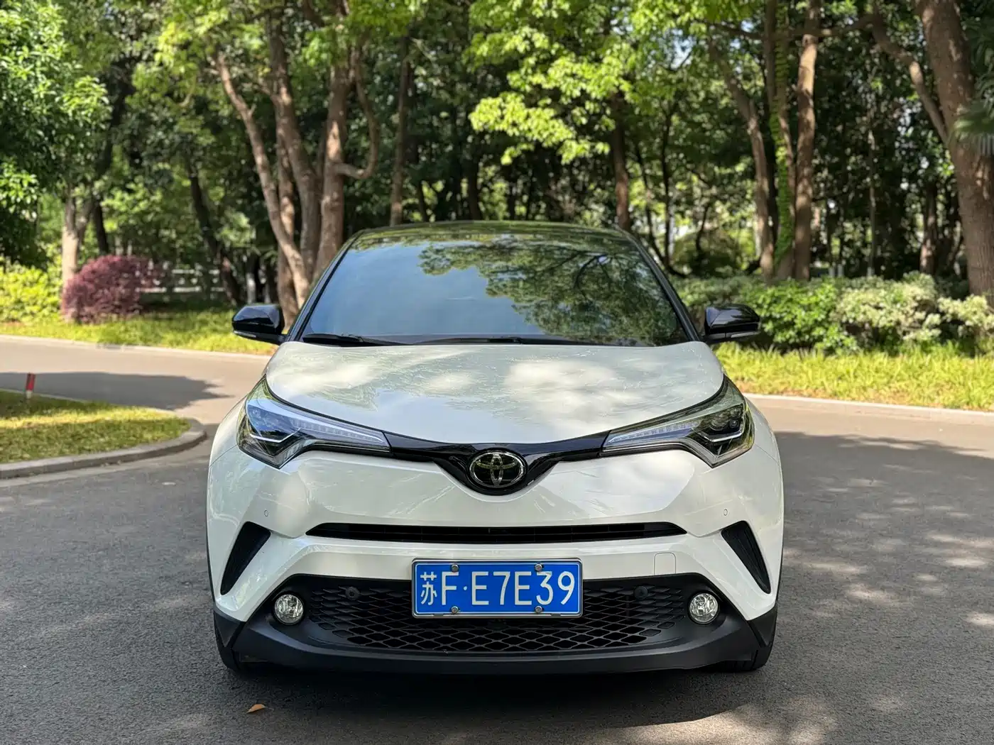 Toyota C-HR 2018 2.0L Luxury Edition China V фото 2