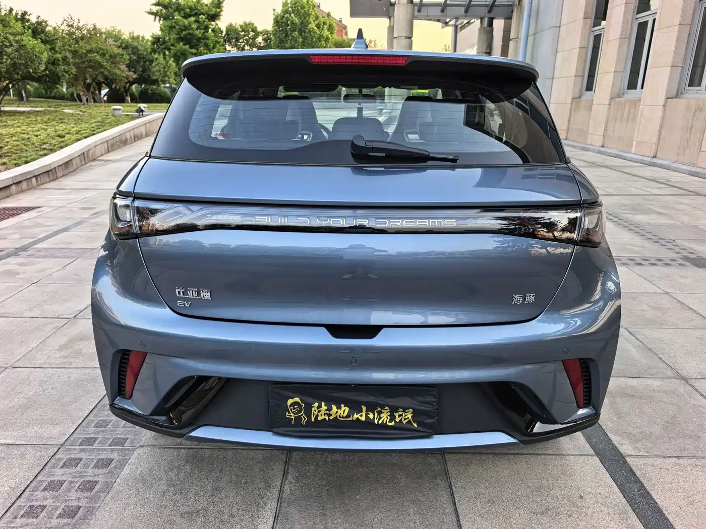 BYD Dolphin 2025 420km Freedom Edition фото 5