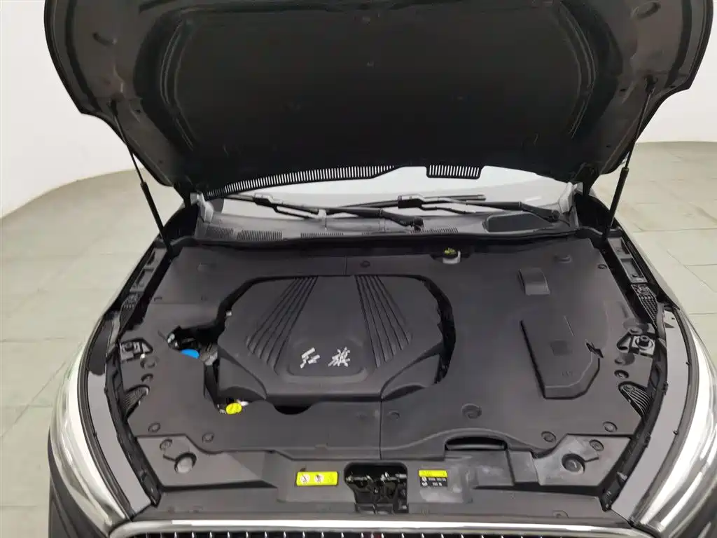 Hongqi H5 2019 30TD Style Edition фото 6