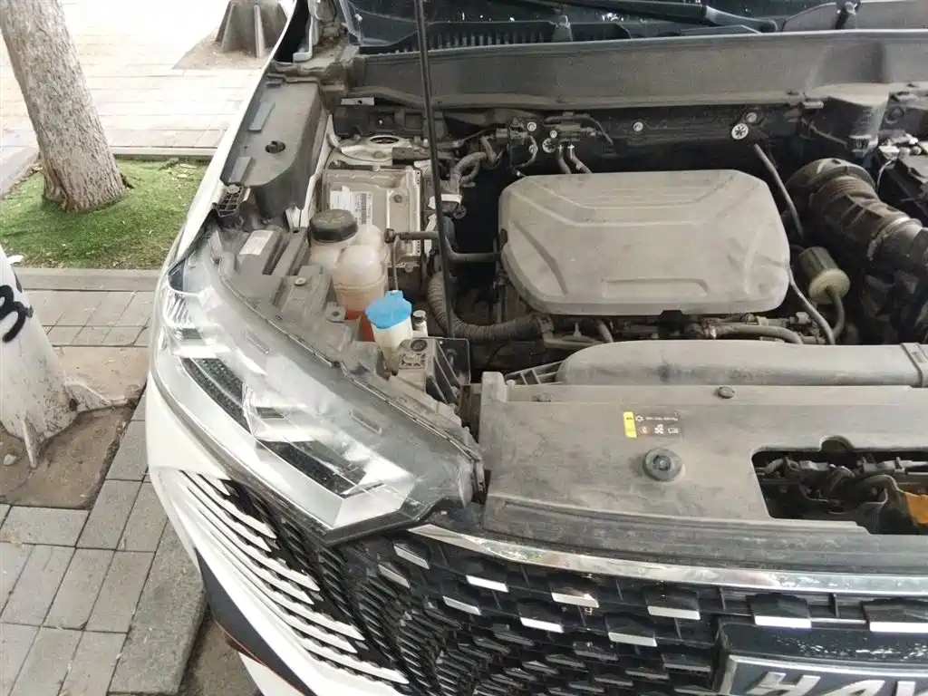 Haval H6 2022 3rd Gen 1.5T Auto 2WD Supreme+ фото 21
