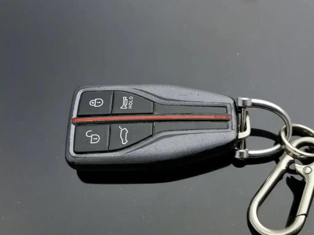 Hongqi HS5 2019 2.0T Smart Connect Enjoy Edition фото 19