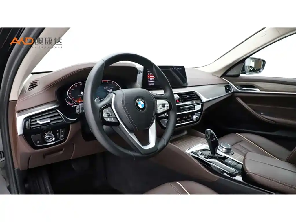 BMW 5 Series 2020 530Li xDrive Luxury Package фото 6