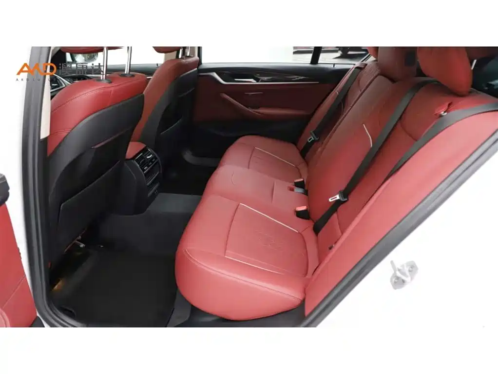 BMW 5 Series 2021 525Li Luxury Package фото 7
