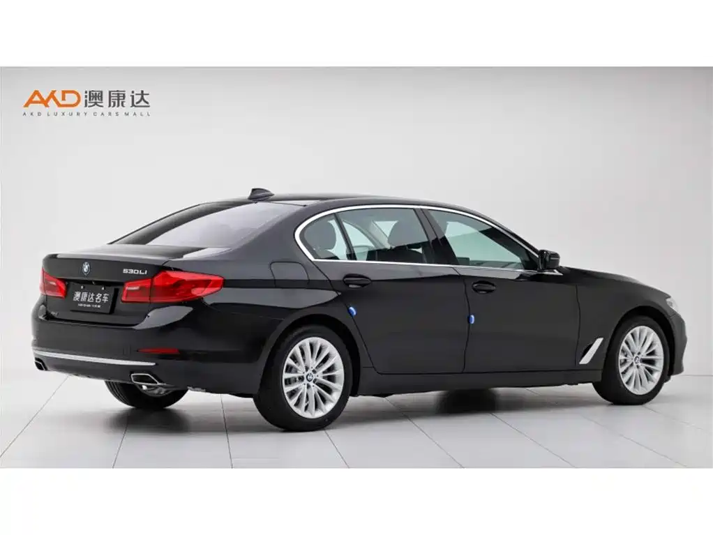 BMW 5 Series 2020 530Li xDrive Luxury Package фото 3