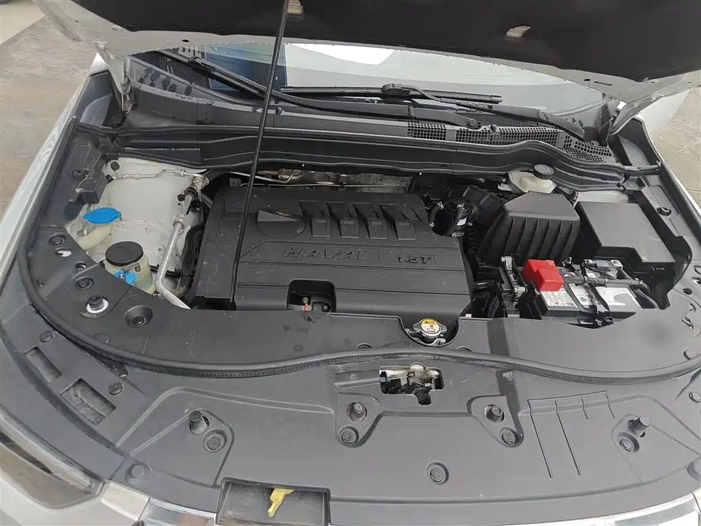 Haval H6 2018 Blue Label Sport 1.5T Automatic 2WD Elite фото 20