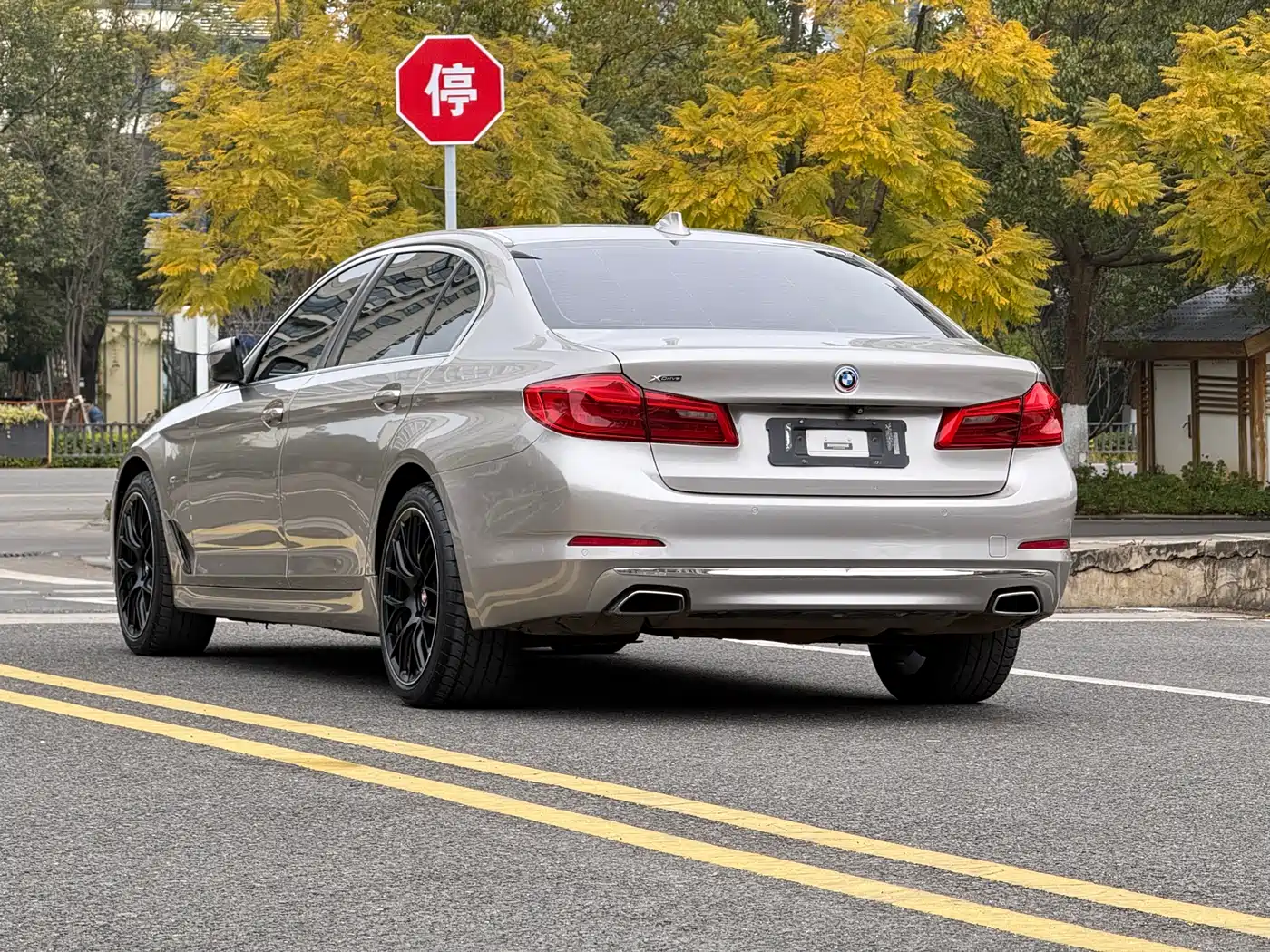 BMW 5 Series 2018 528Li Launch Special Edition фото 6