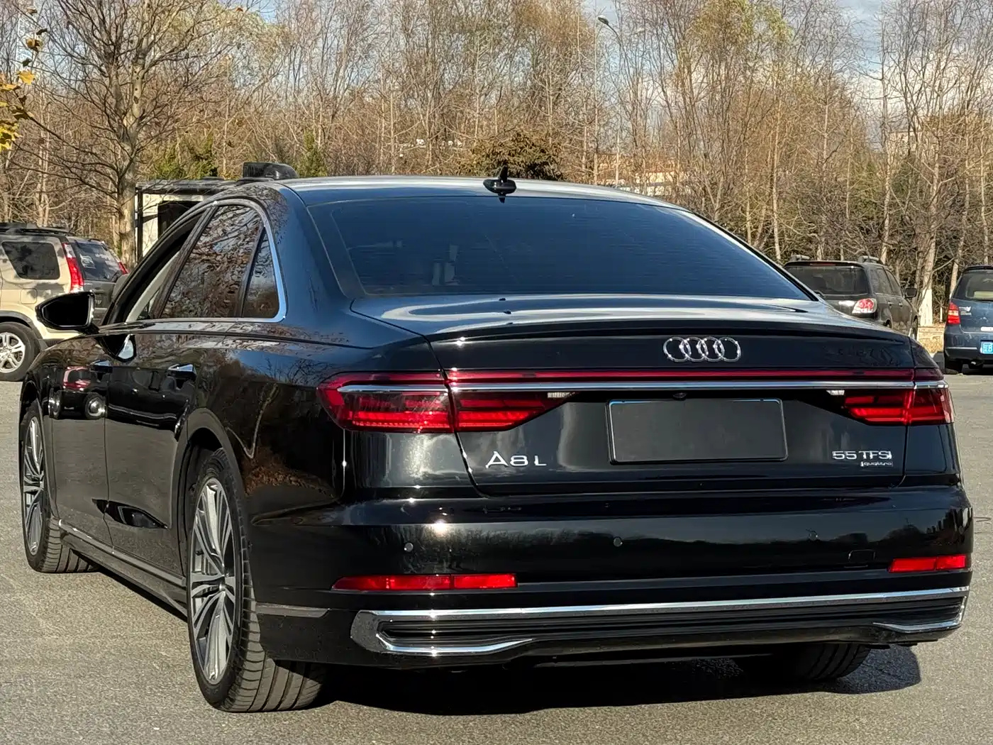 Audi A8 2023 A8L 50 TFSI quattro Exclusive фото 6