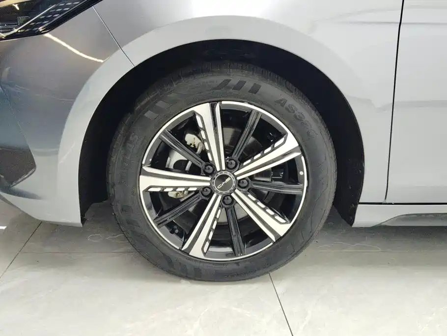 Фото 6 - BYD Destroyer 05