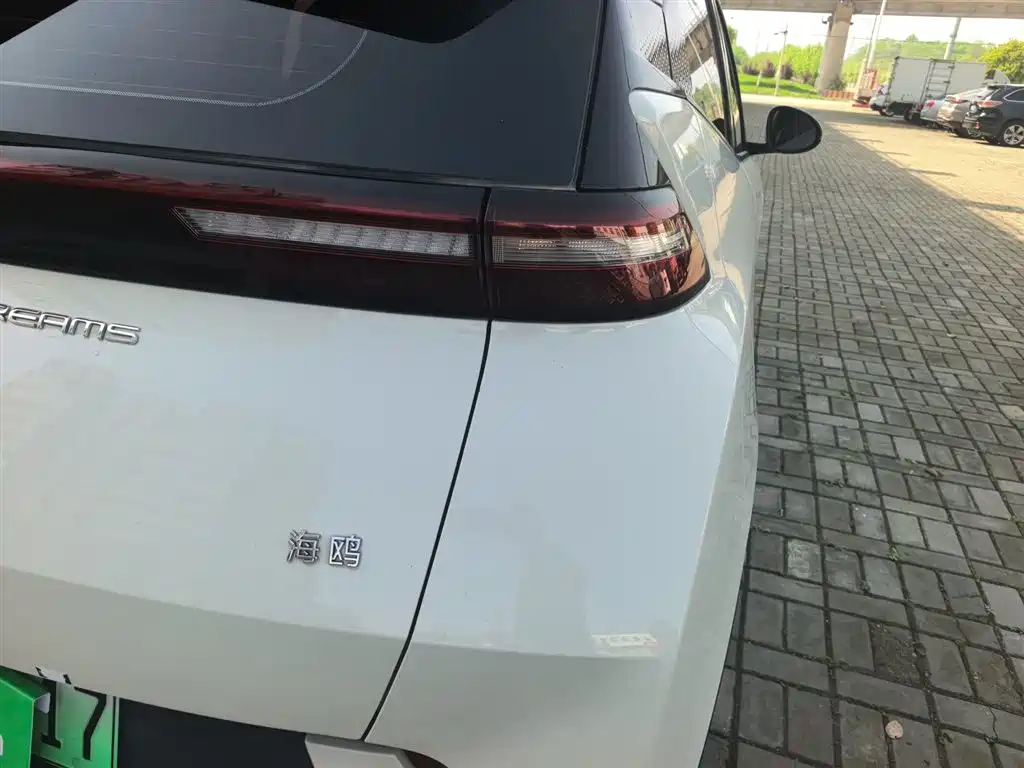 BYD Seagull 2023 Vitality Edition фото 8