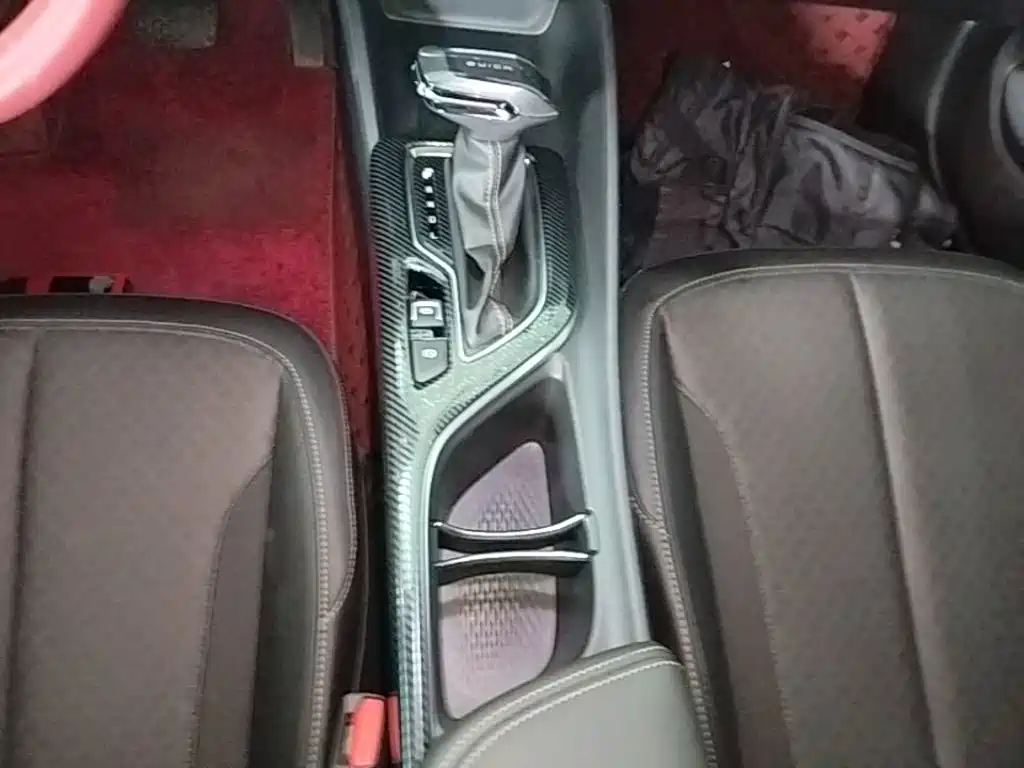 BUICK WEILANG