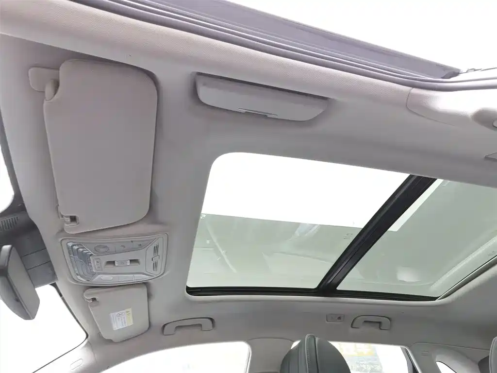 Hongqi HS5 2019 2.0T Smart Connect Enjoy Edition фото 14