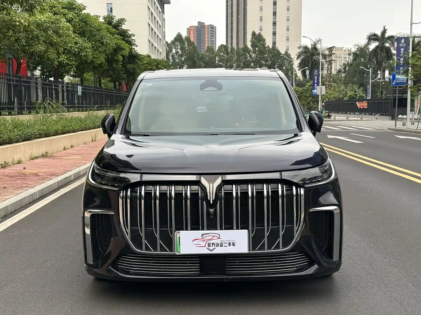 Voyah Auto Voyah Dreamer 2022 Low-carbon Edition Think+Smart Driving Package фото 2