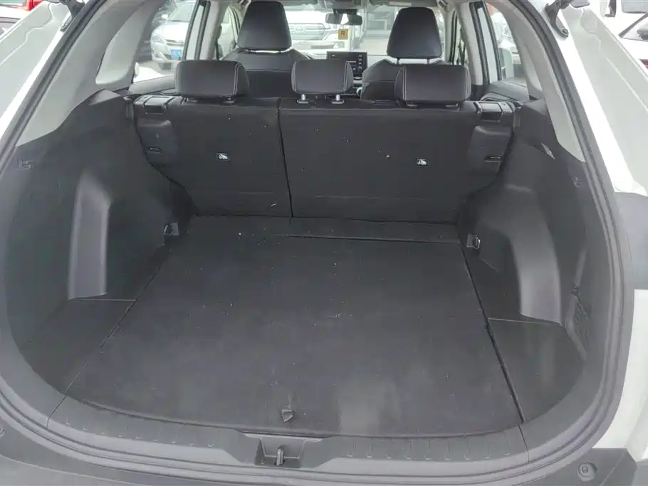 Toyota RAV4 Rongfang 2020 2.0L CVT 2WD Urban Edition фото 4