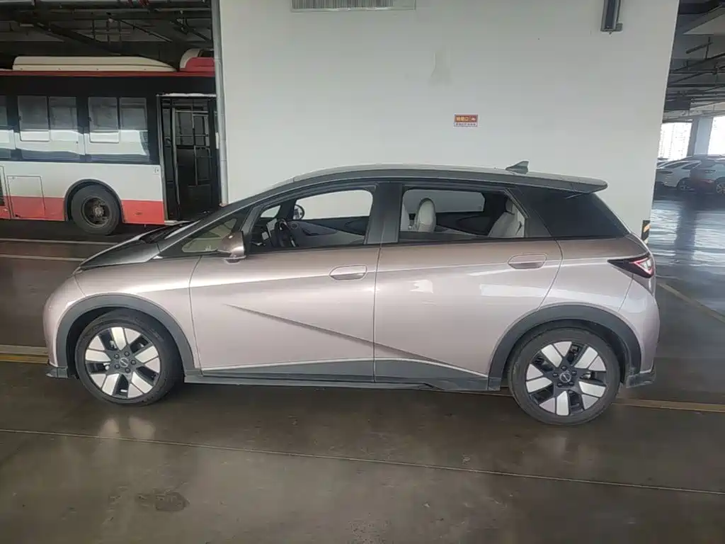BYD Dolphin 2021 2021 401km Knight Edition