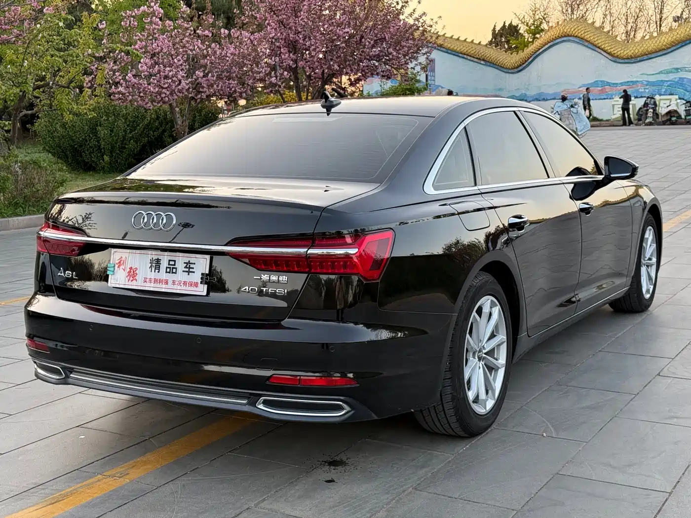 Audi A6L 2019 40 TFSI Luxury Elegance фото 21