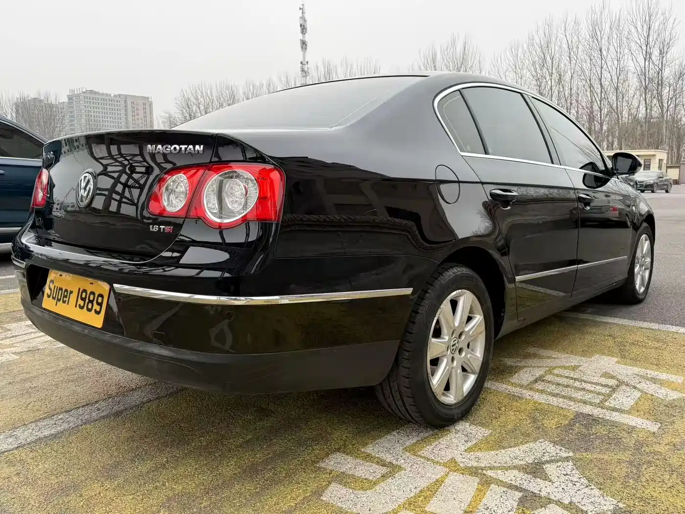 Volkswagen Magotan 2009 1.8TSI Manual Technology фото 8
