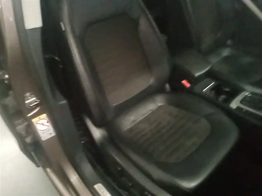Volkswagen Magotan 2015 1.8TSI Luxury фото 25