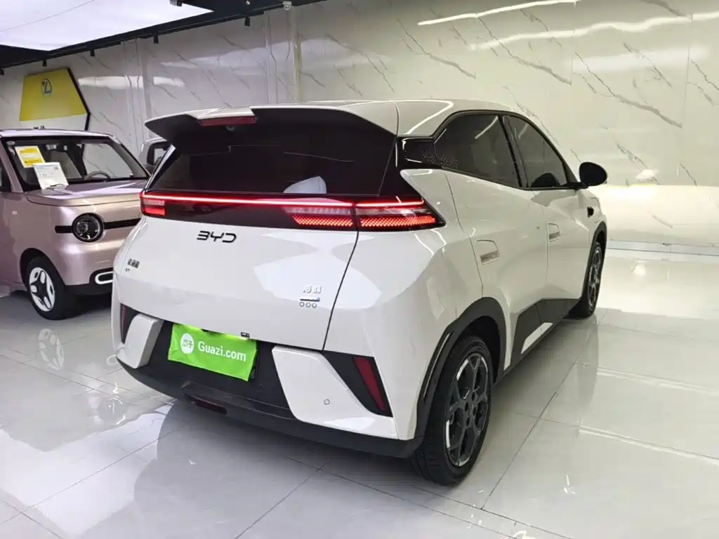 BYD Seagull 2026 2025 Smart Drive Edition 305km Freedom Version