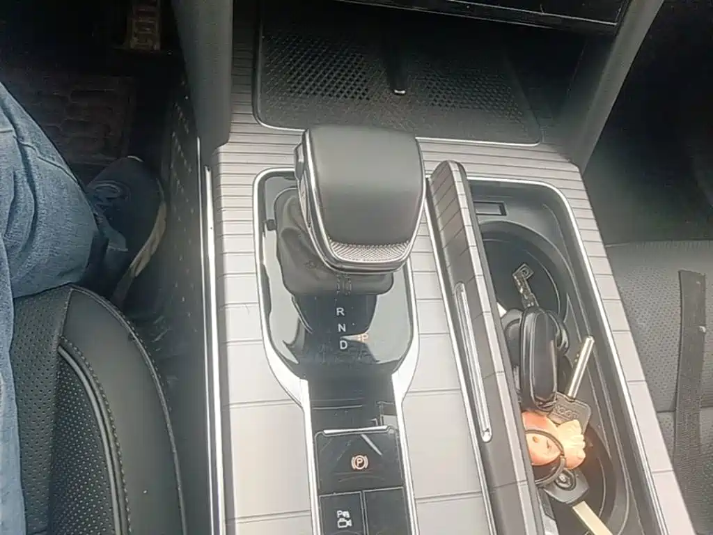 Photo 14 - Hongqi HS7 PHEV