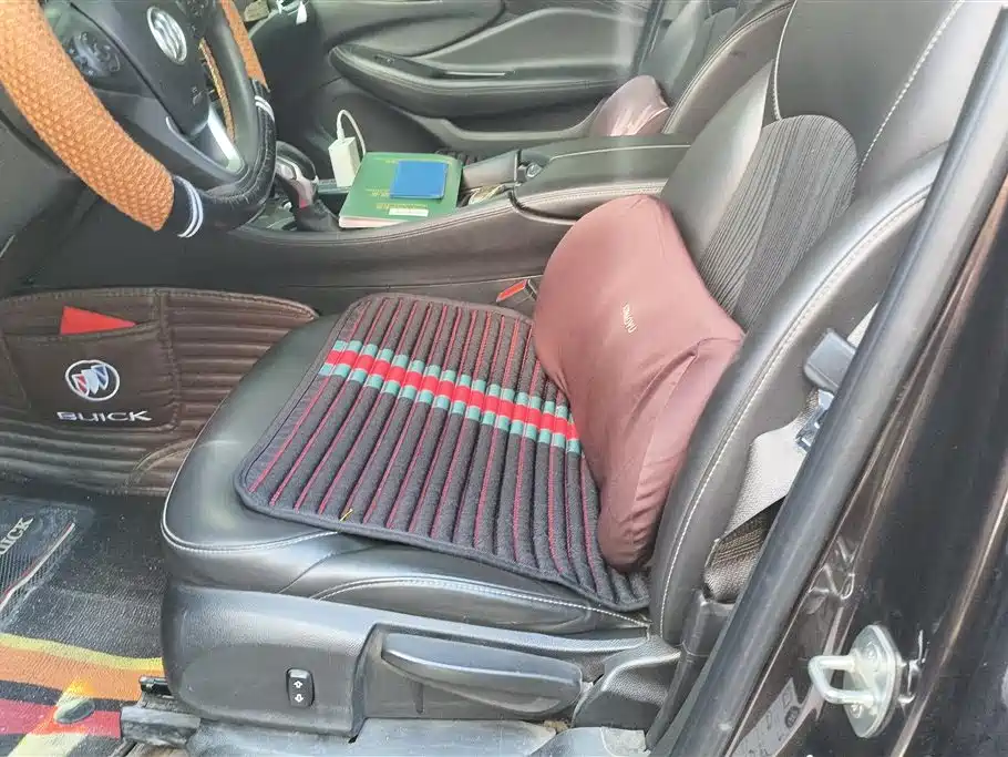 Buick Envision Plus 2020 20T FWD Leading фото 9