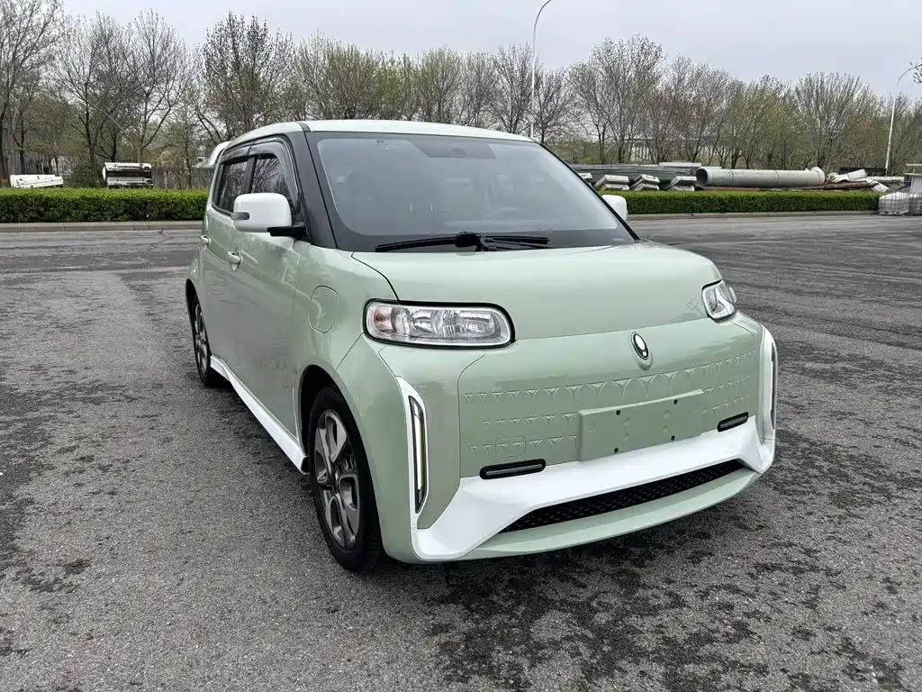 Ora White Cat 2022 2022 Wildcat Edition 360km Luxury (NMC)