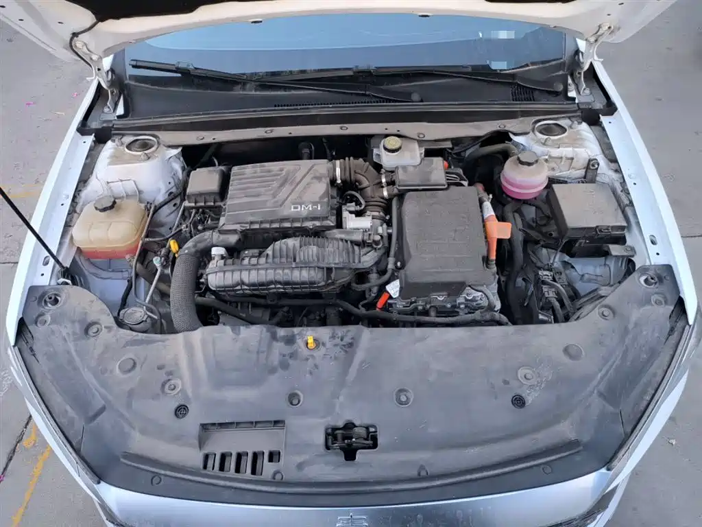 BYD Qin PLUS 2023 Champion Edition DM-i 55KM Surpassing фото 20