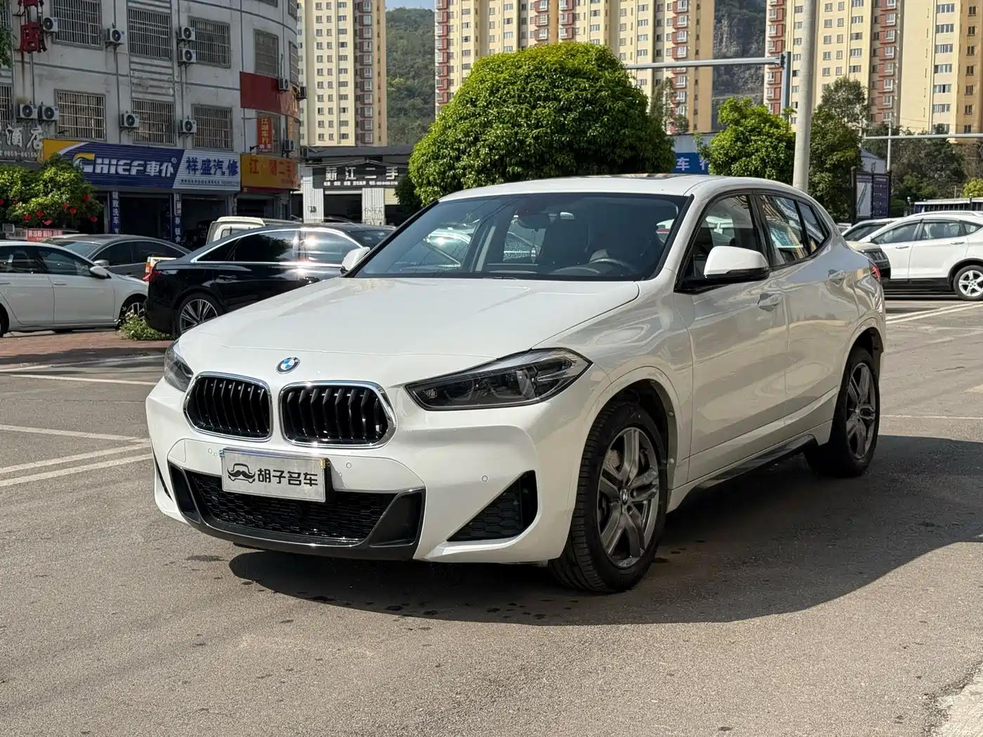 BMW X2 2021 sDrive25i Leading M Off-Road Package фото 3