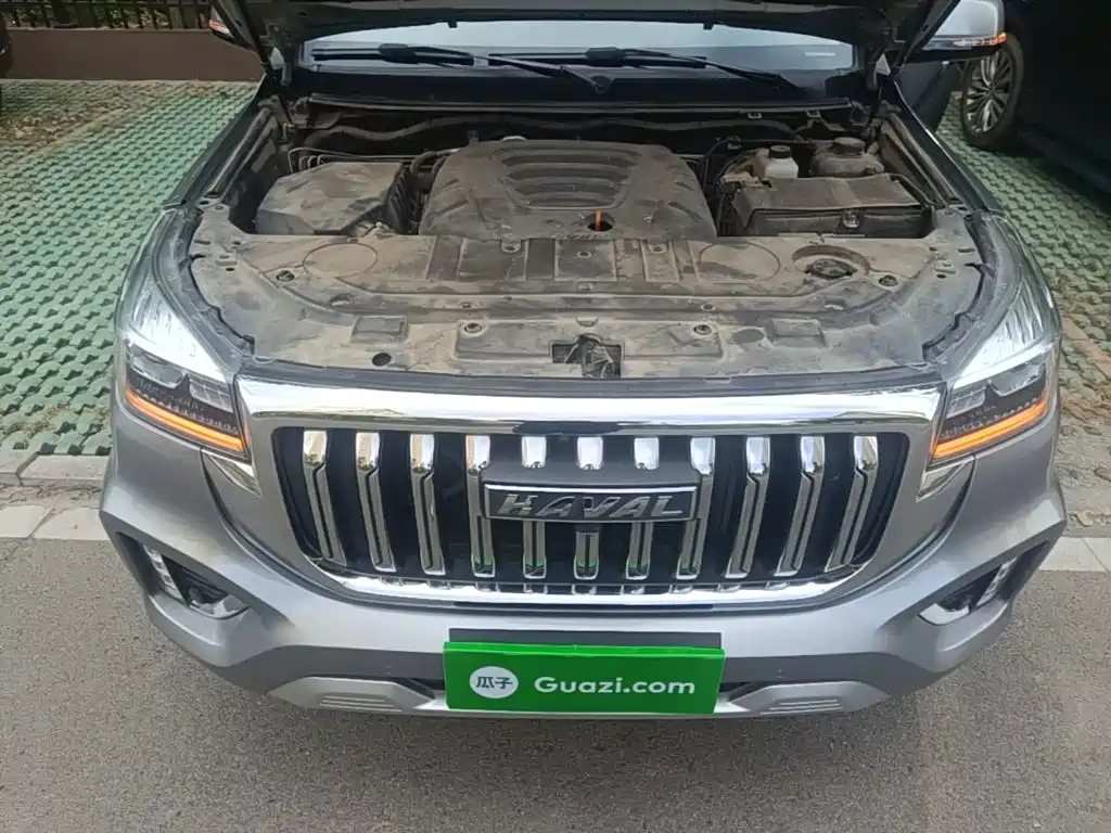 Haval H9 2023 2022 2.0T Gasoline 4WD Elite 5-Seater