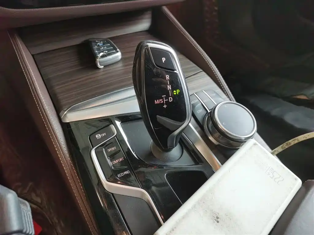 BMW 5 Series 2018 530Li xDrive Luxury Package фото 10