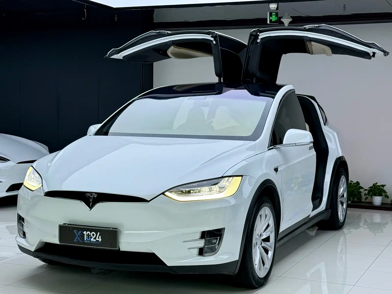 Фото 1 - Tesla Model X