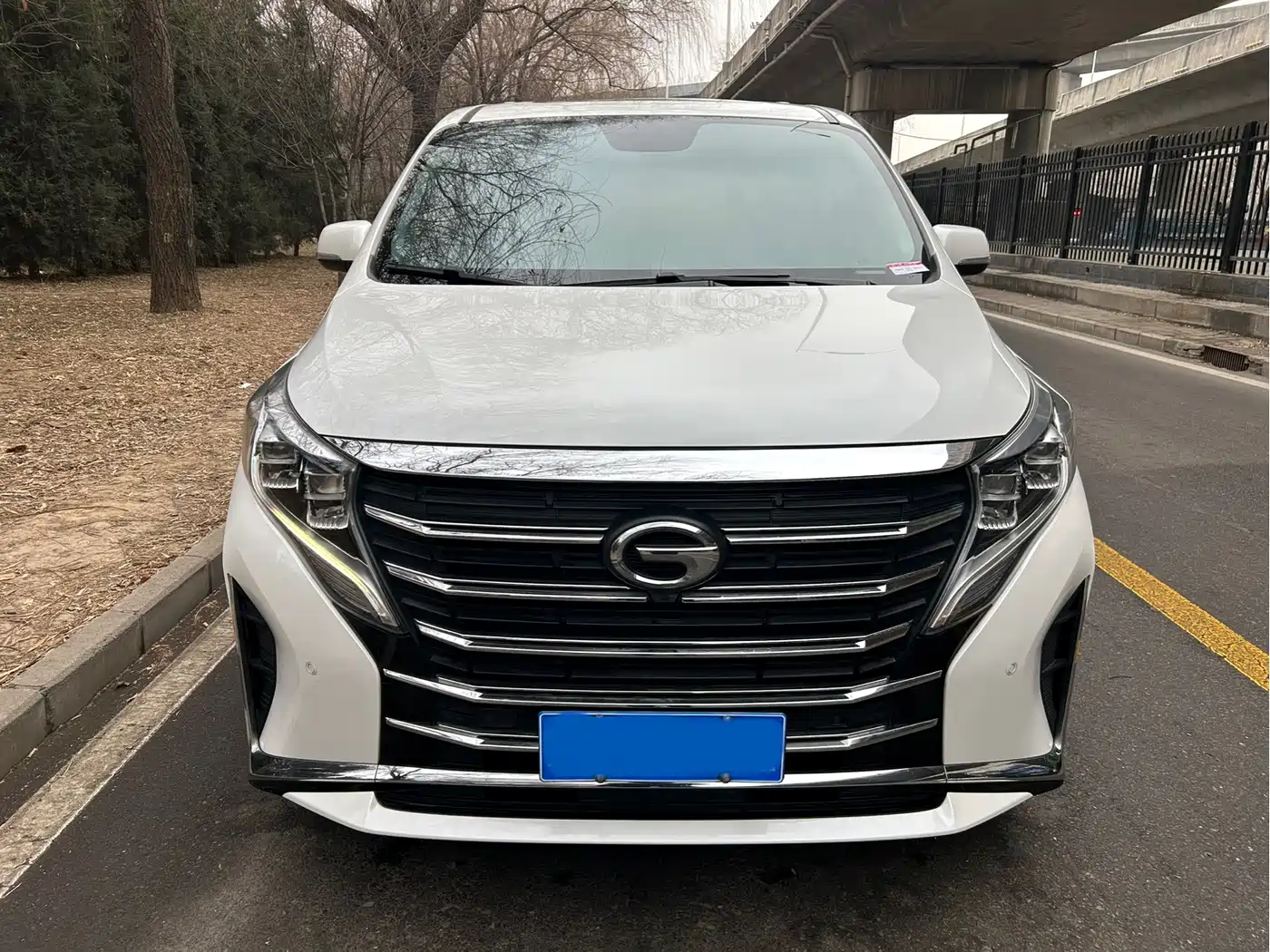 GAC TRUMPCHI M8