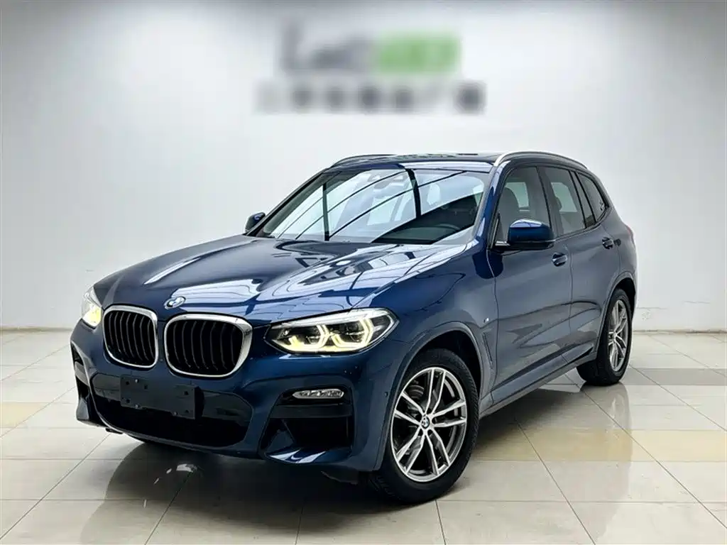 BMW X3 2018 xDrive30i Leading M Sport Package China VI фото 2