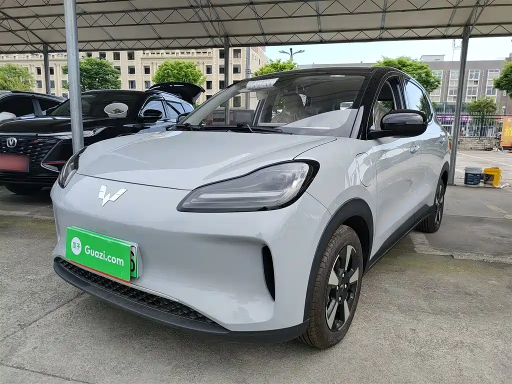 Wuling Motors Wuling Binguo PLUS 2024 401km Range 5-seater