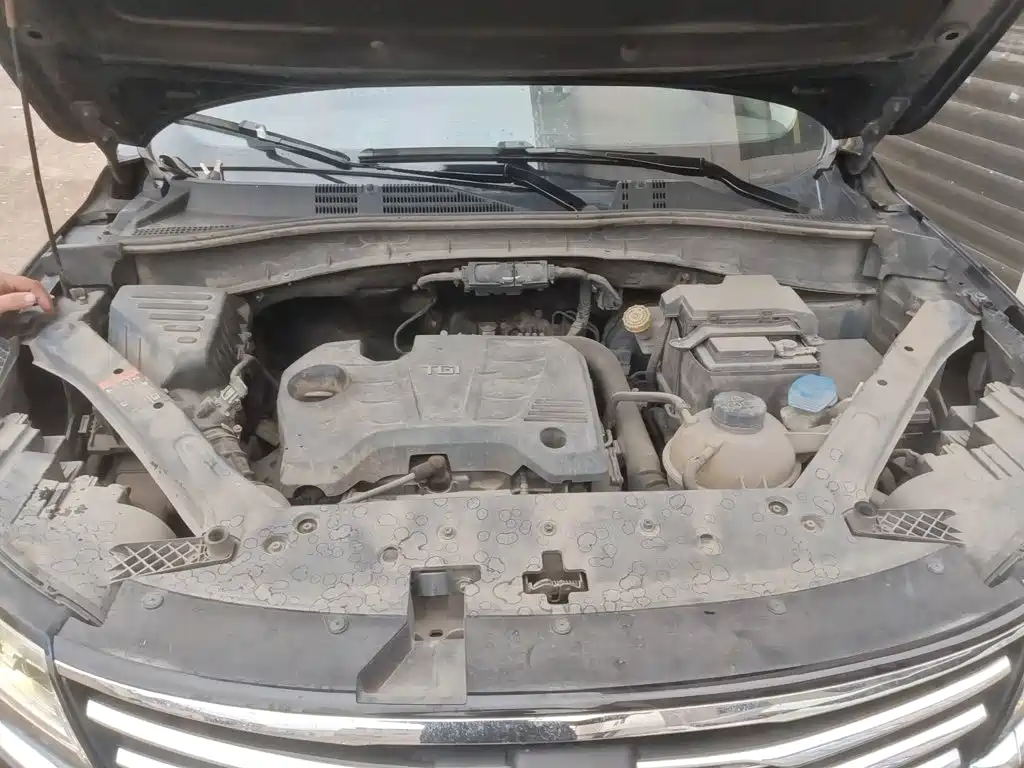 Фото 21 - Roewe RX5