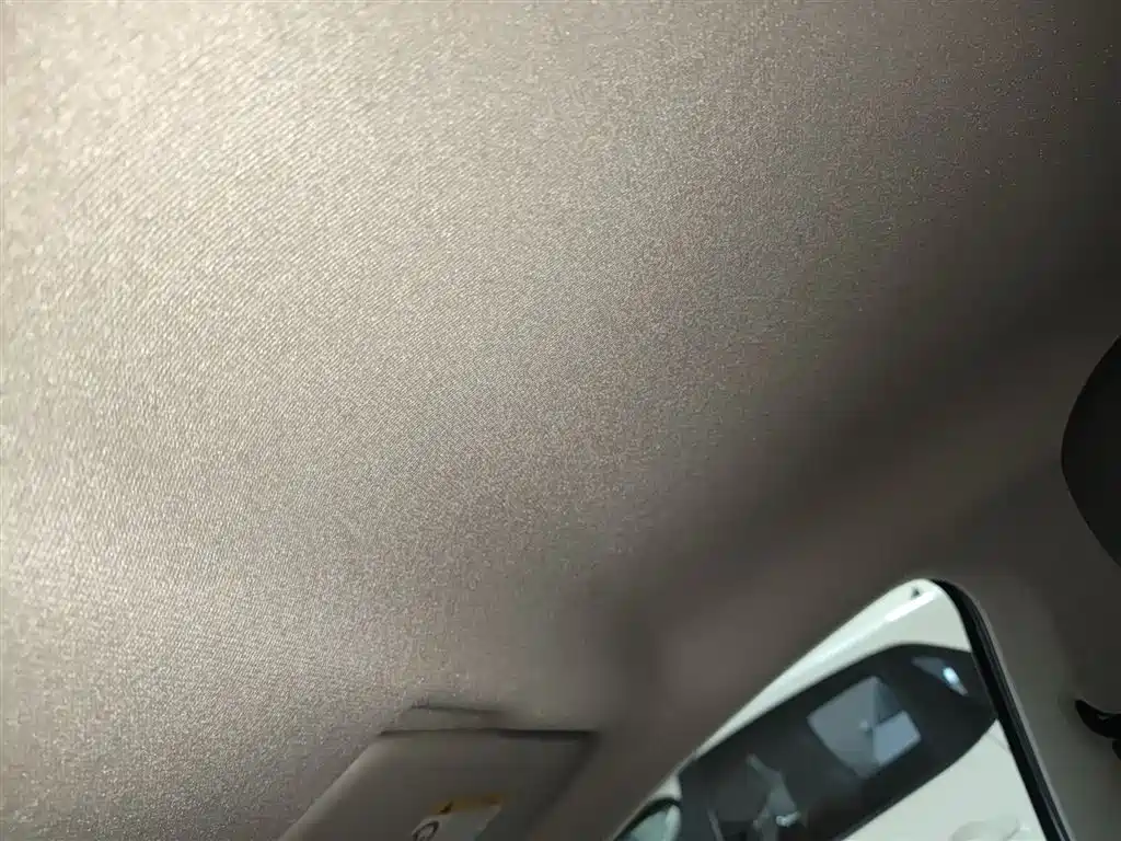 Volkswagen Santana 2021 1.5L Automatic Trend Edition фото 14