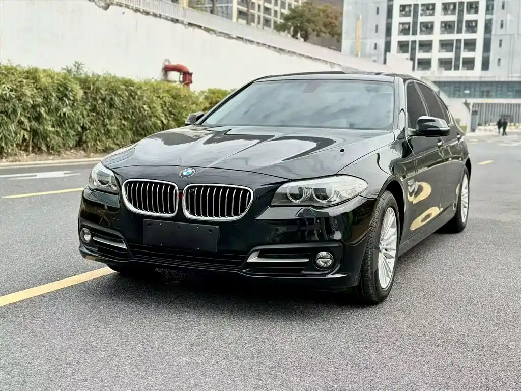 BMW 5 Series 2014 525Li Leading фото 2