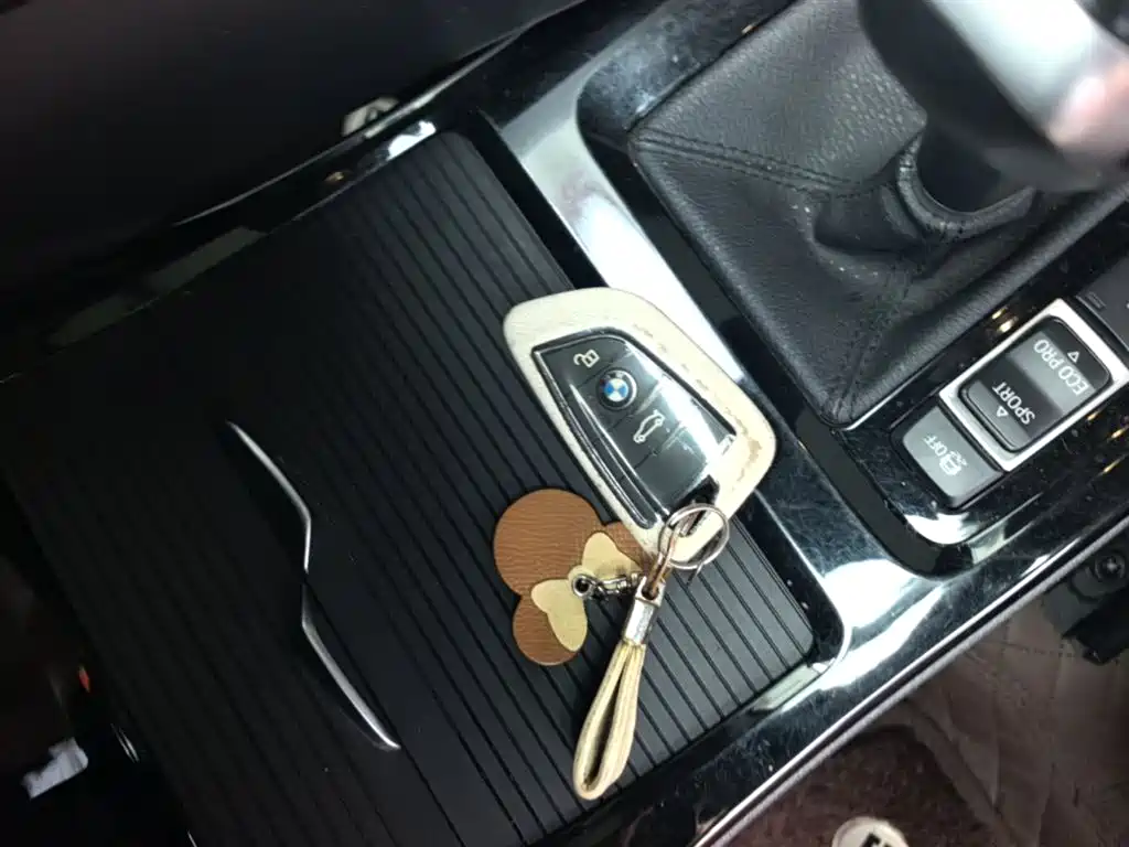 BMW X1 2020 xDrive25Li Premium Edition фото 9