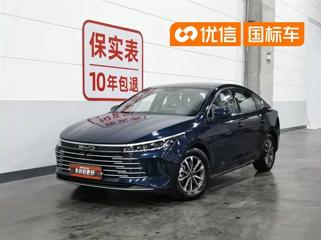 BYD Destroyer 05 2024 Glory Edition DM-i 55KM Luxury