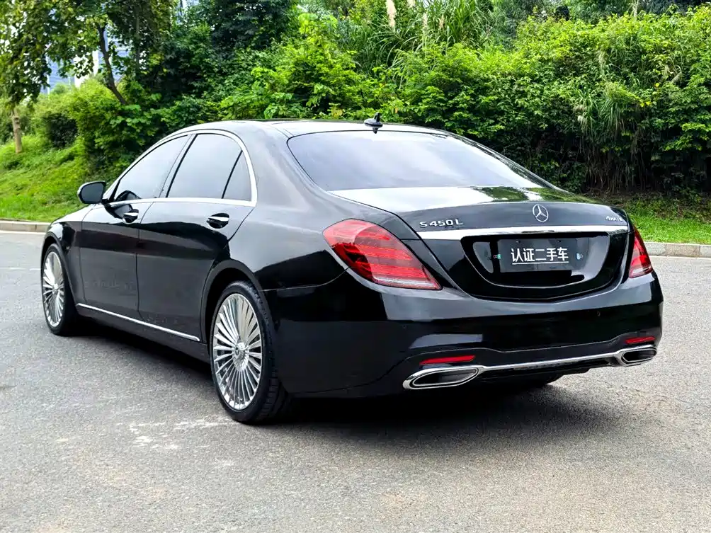 Mercedes-Benz S-Class 2020 S 350 L Business Edition Collector's Version фото 5