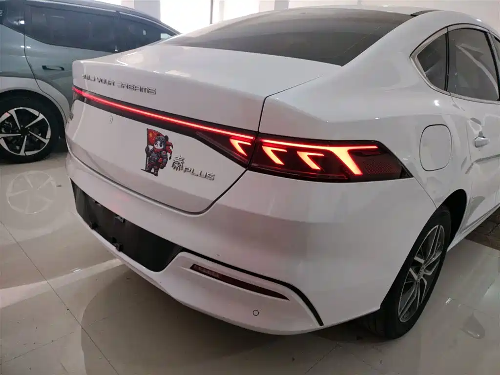 BYD Qin PLUS 2023 Champion Edition EV 420KM Leading Type фото 4
