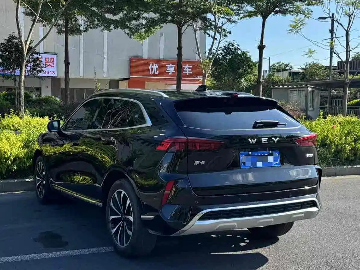 WEI PAI WEI BRAND MOCHA