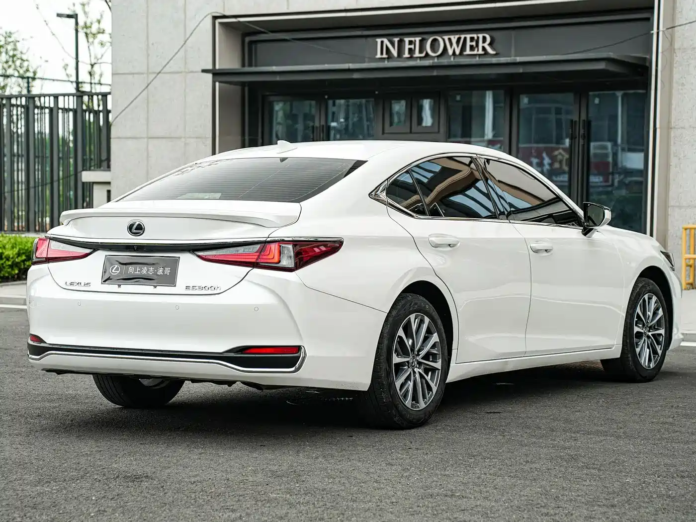 Lexus ES 2024 200 Premium Edition фото 6