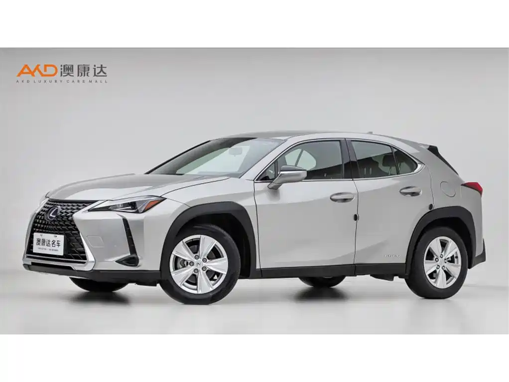 Lexus UX 2020 260h Explore Fun Edition